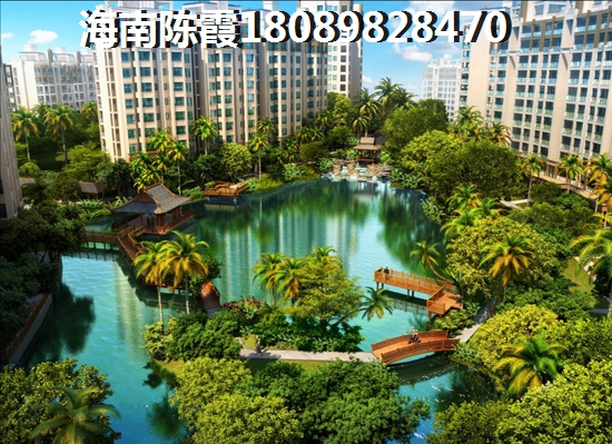 陵水XG政策