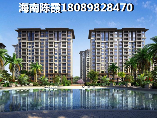 Aloha阿罗哈VS碧海蓝天分析对比