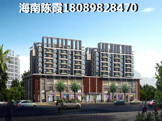 2021年海南陵水的房子还能生纸吗？