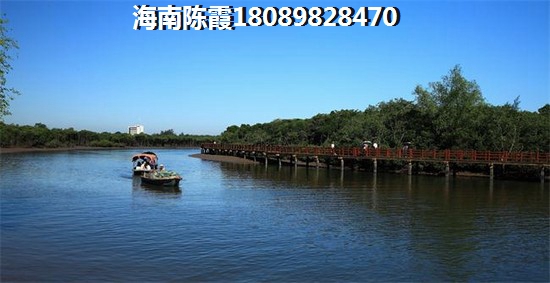 陵水清水湾2022的发展前景在哪里？