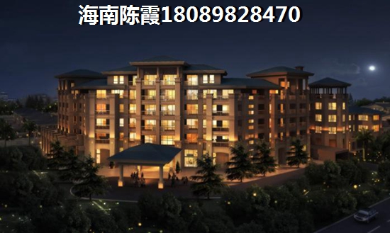 海南什么项目纸得买？