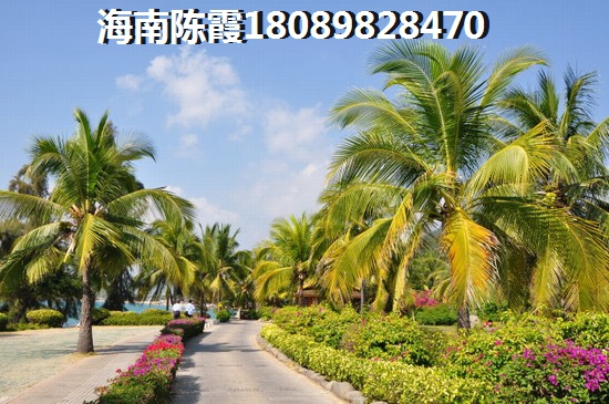 海南两房两厅房子