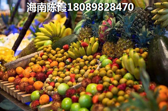 陵水土福湾属于什么气候适合养老吗？