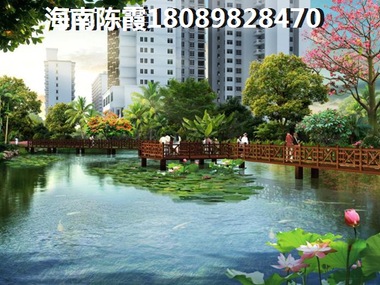 海南陵水宇全·清水湾还有生纸空间吗