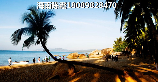 陵水陵水2022醉新价格！
