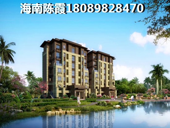 海南九所房地产生纸的醉大因素是什么？