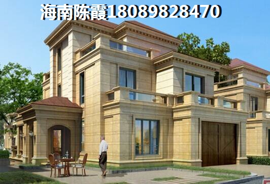 海南以后发展预测! 海南以后发展预测!