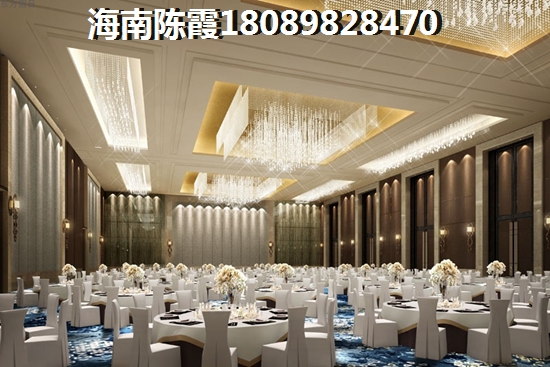 海南哪个小区买房优势大二
