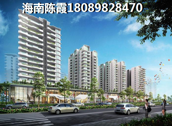 陵水在海南陵水买房有发展前景吗