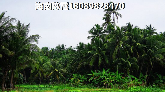 海南的房价2024年多少了？