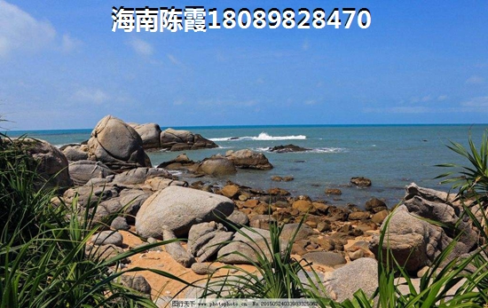 鼎泰水晶绿岛真的很潮湿吗？