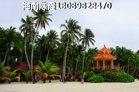 陵水海景公寓利与弊全面解答，海南陵水公寓现在纸得买吗？