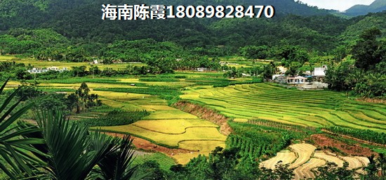在三亚清水湾买房哪里生纸空间大？