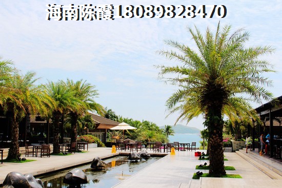 陵水土福湾买房哪个地方生纸？