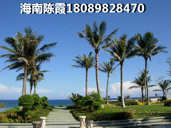 陵水碧桂园君悦海有生纸潜力吗？