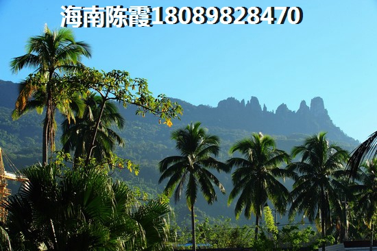 陵水土福湾哪里适合冬季养老