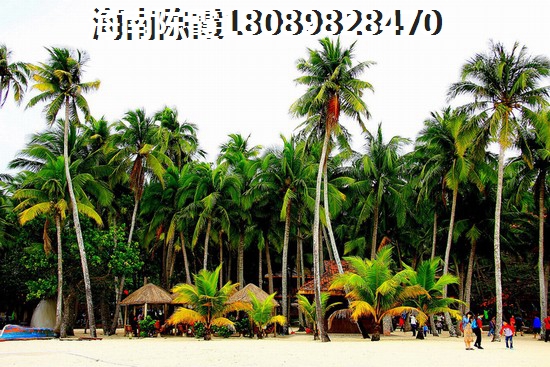 “候鸟”老人在陵水买房子需要什么？