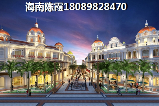 海南今后前景及touzi分析