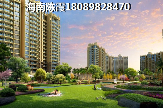 可以在海南买房子touzi吗